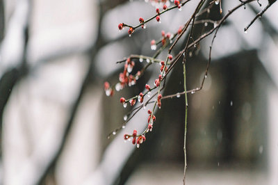大專學(xué)歷可以報(bào)考山西財(cái)經(jīng)大學(xué)在職研究生嗎？